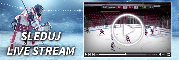 Live stream z play-off NHL