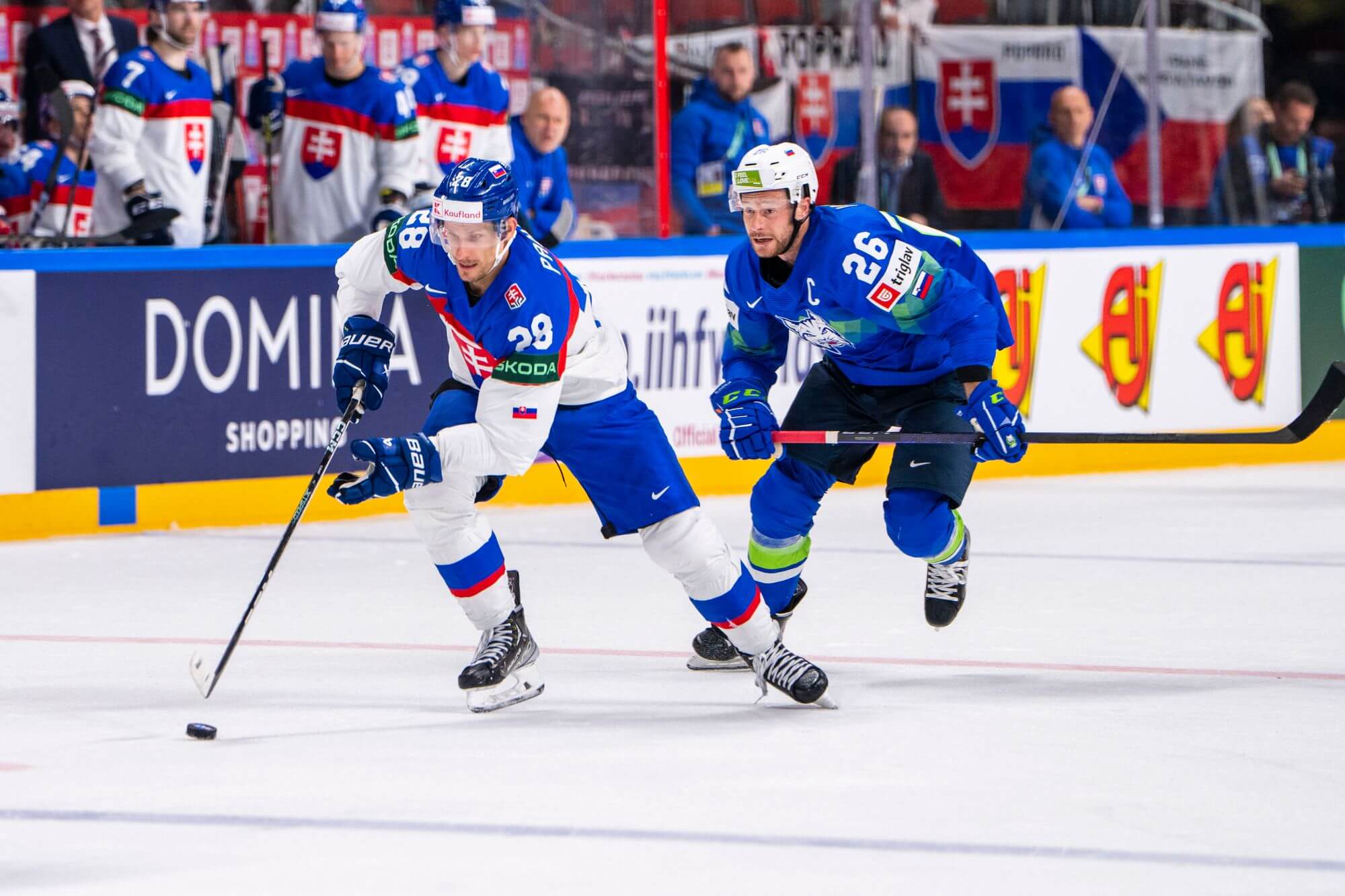 Hokejový zápas Slovensko vs. Slovinsko na šampionáte