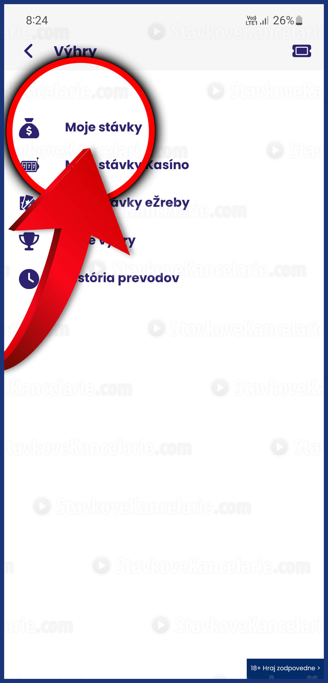 Ako skontrolovať stávky v Tiposbet aplikácii