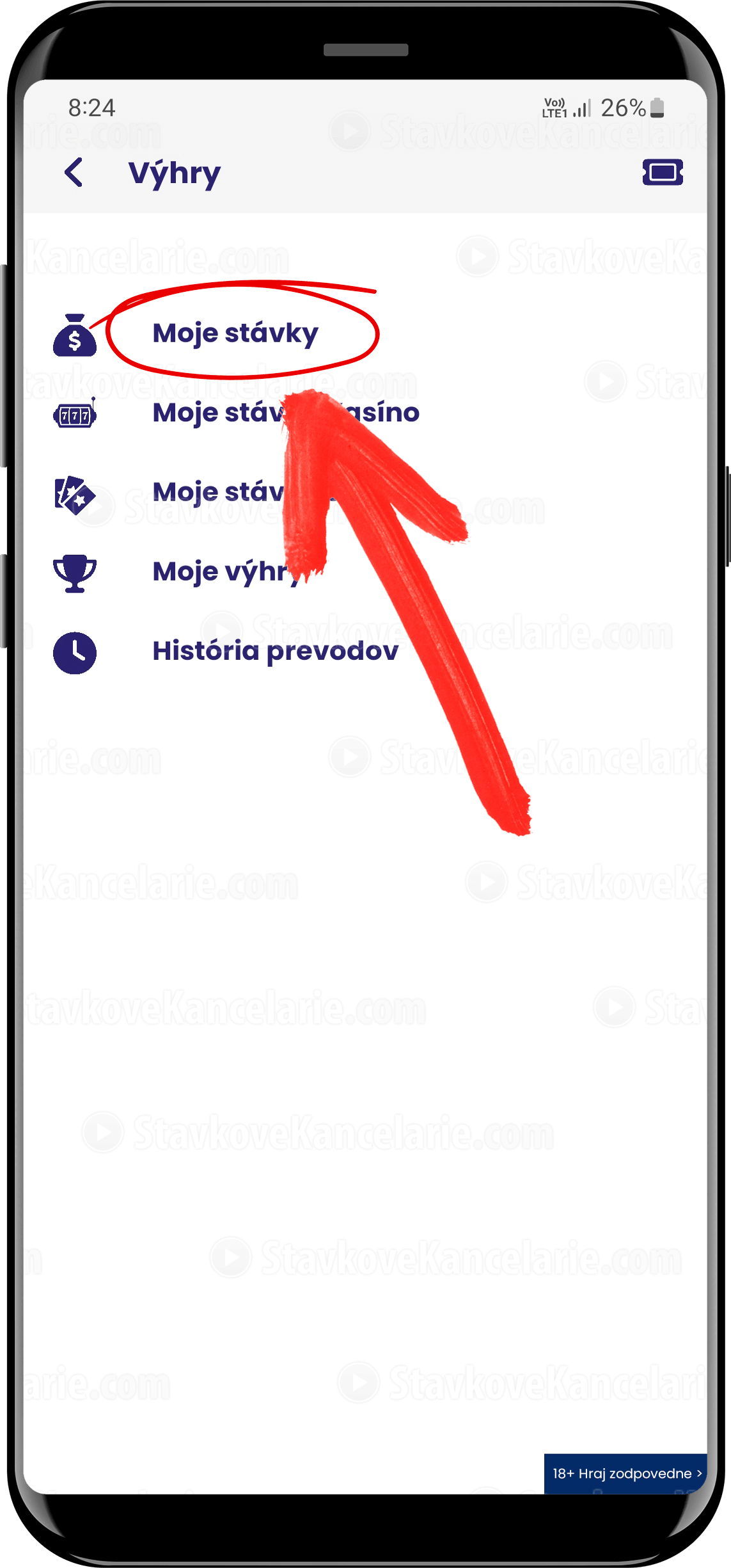 Ako skontrolovať stávky v Tiposbet aplikácii