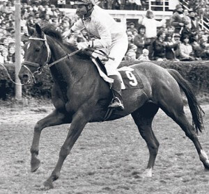 Najväčší šampión Veľkej pardubickej kôň Železník s džokejom Josefom Váňom.