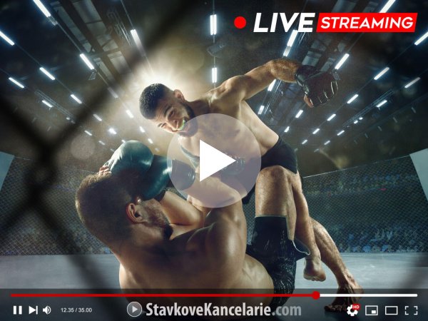 Kde sledovať MMA a BOX LIVE? Priame prenosy v TV + online