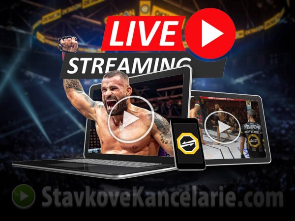 Oktagon LIVE – stream zadarmo, PPV online + MMA prenosy v TV