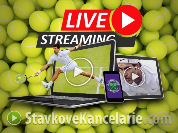 Wimbledon LIVE – prenosy v TV + live stream online
