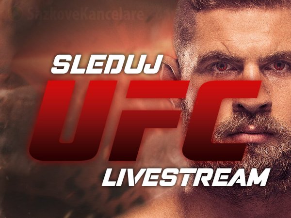 Procházka vs. Pereira ▶️ LIVE stream a priamy prenos v TV | UFC