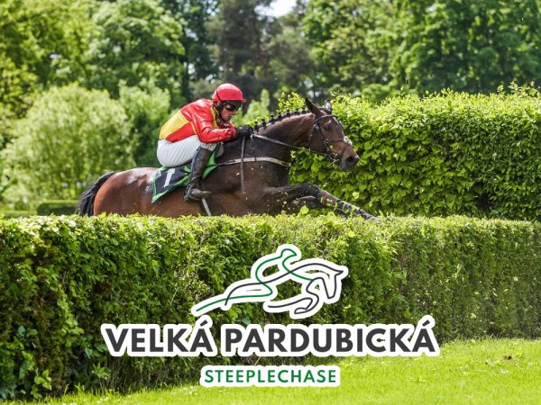 Veľká pardubická 2022 – kurzy, program, výsledky a online prenos