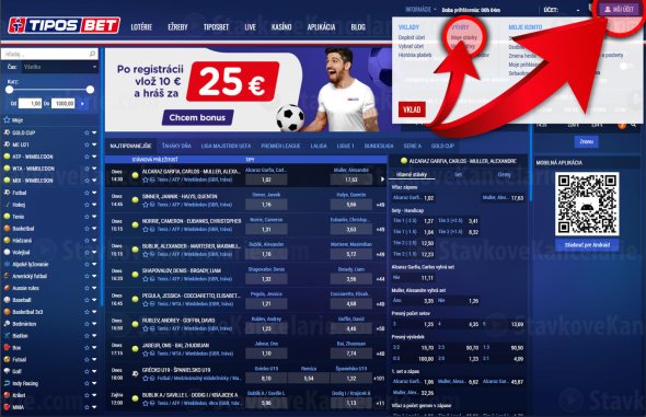 Kontrola tiketu na eTipos.sk – Krok č. 1