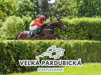 Veľká pardubická 2023 – kurzy, program, výsledky a online prenos