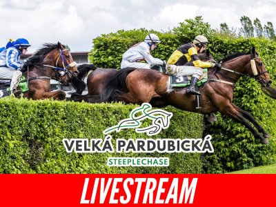 Veľká pardubická 2023 LIVE stream ▶️ Ako sledovať preteky?